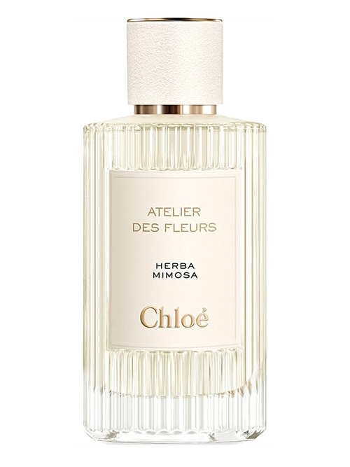 Chloé Chloé Atelier des Fleurs Herba Mimosa