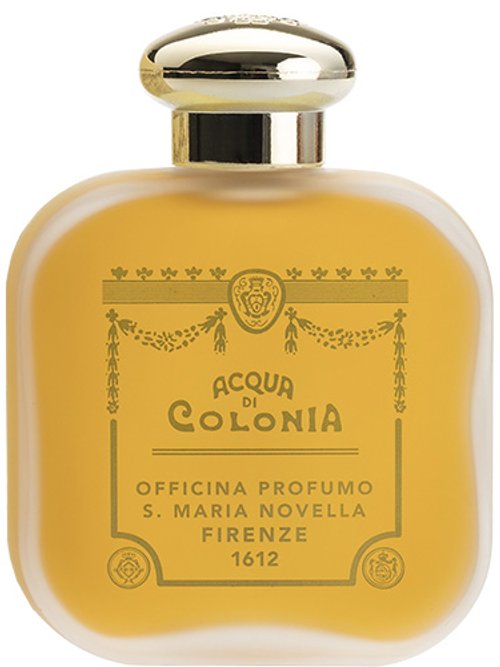 Santa Maria Novella Peau d'Espagne