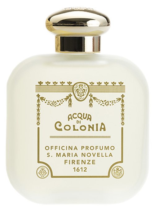 Santa Maria Novella Fieno