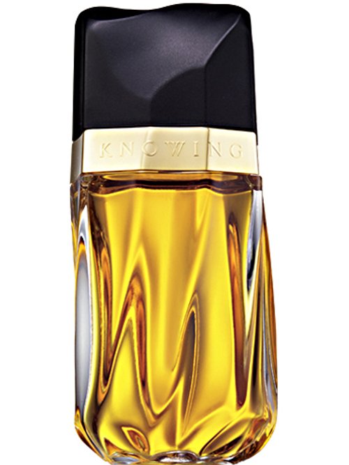 Estée Lauder Knowing