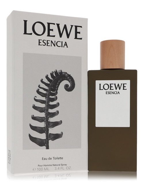 Solo Loewe Intense