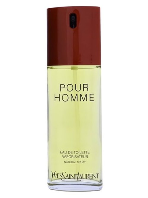 Yves Saint Laurent Pour Homme