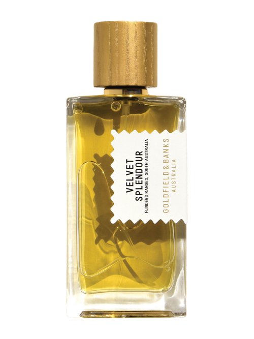 Velvet Splendour