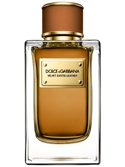 Dolce & Gabbana Velvet Exotic Leather