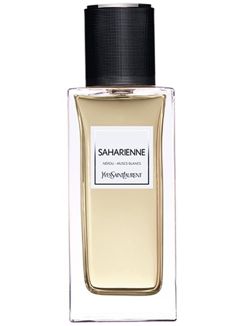 Yves Saint Laurent Saharienne