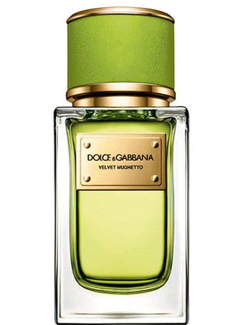Dolce & Gabbana Velvet Mughetto