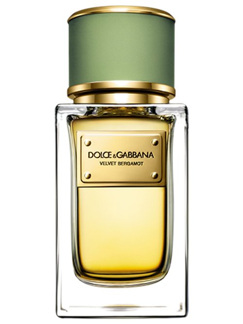 Dolce & Gabbana Velvet Bergamot
