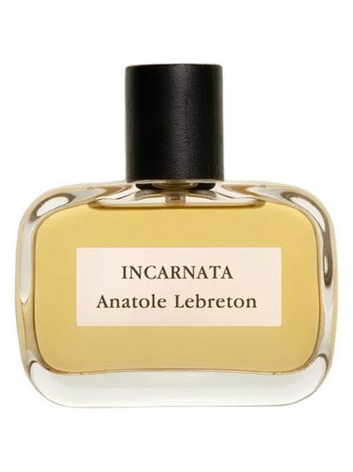 Ex Nihilo Rose Incarnata