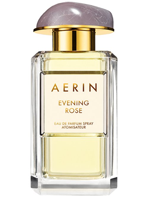 Aerin Evening Rose