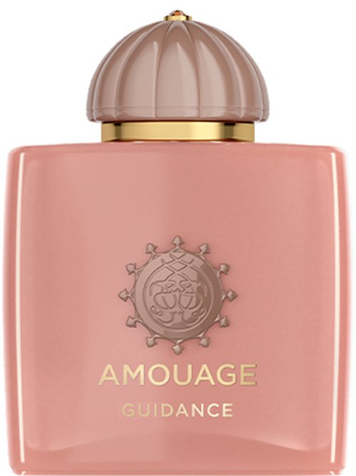 Amouage Guidance